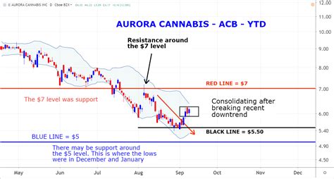 Aurora Cannabis (ACB) Stock Forecast and Price Target 2024 .